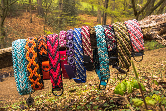 Paracord Halsband für Hunde - Der 5 Punkte Guide